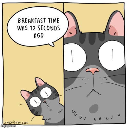 A Cat's Way Of Thinking | image tagged in memes,comics,cats,breakfast,time,you're doing it wrong | made w/ Imgflip meme maker