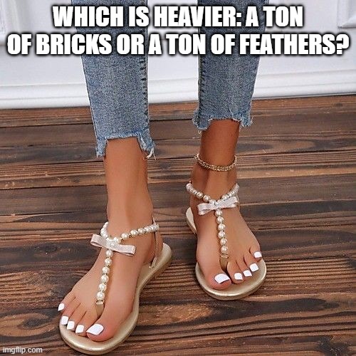 WHICH IS HEAVIER: A TON OF BRICKS OR A TON OF FEATHERS? | image tagged in riddle,feet | made w/ Imgflip meme maker