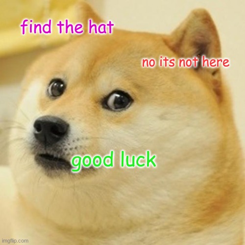 try to find the hat | find the hat; no its not here; good luck | image tagged in memes,doge | made w/ Imgflip meme maker