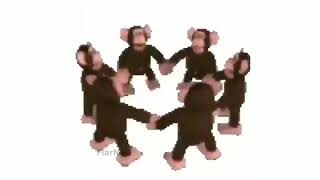 High Quality Spinning monke pic Blank Meme Template
