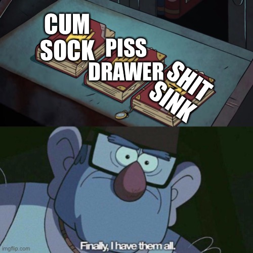 Idk about the shit sink tho ???? | CUM SOCK; PISS DRAWER; SHIT SINK | image tagged in i have them all | made w/ Imgflip meme maker