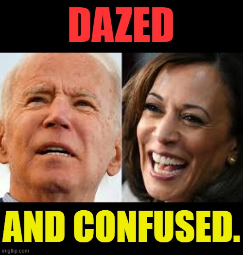 They're Quite A Pair | DAZED; AND CONFUSED. | image tagged in memes,politics,so true,joe biden,kamala harris,dazed and confused | made w/ Imgflip meme maker