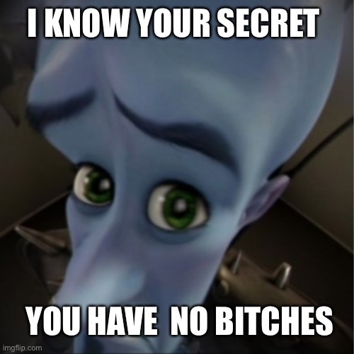 Megamind peeking | I KNOW YOUR SECRET; YOU HAVE  NO BITCHES | image tagged in megamind peeking | made w/ Imgflip meme maker