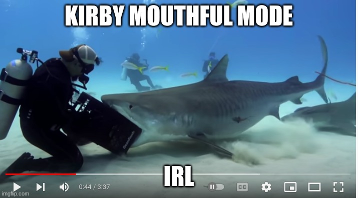 He's achieving mouthful mode :D | KIRBY MOUTHFUL MODE; IRL | image tagged in shark,scuba diving | made w/ Imgflip meme maker