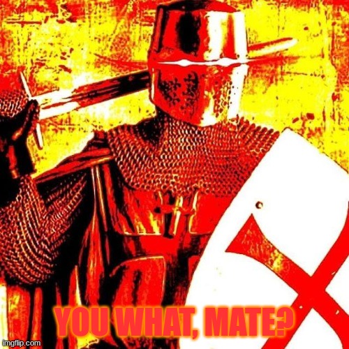 Deep Fried Crusader | YOU WHAT, MATE? | image tagged in deep fried crusader | made w/ Imgflip meme maker