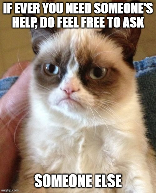 Like I say to my colleagues | IF EVER YOU NEED SOMEONE'S HELP, DO FEEL FREE TO ASK; SOMEONE ELSE | image tagged in memes,grumpy cat,work | made w/ Imgflip meme maker