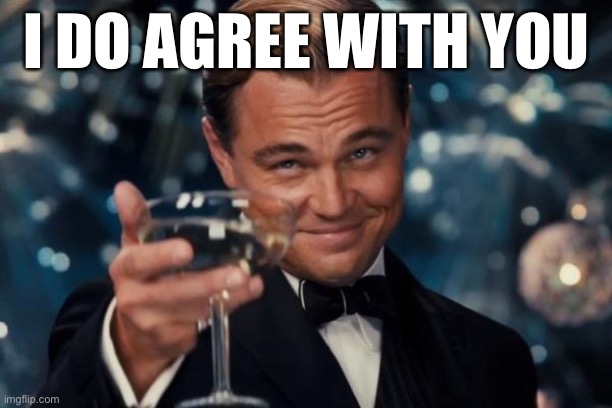 I DO AGREE WITH YOU | image tagged in memes,leonardo dicaprio cheers | made w/ Imgflip meme maker