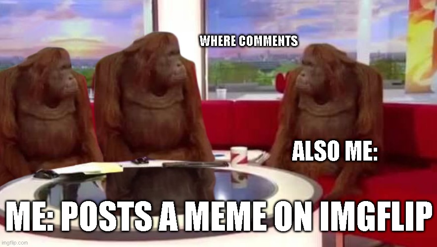 Where comments | WHERE COMMENTS; ALSO ME:; ME: POSTS A MEME ON IMGFLIP | image tagged in where monkey | made w/ Imgflip meme maker