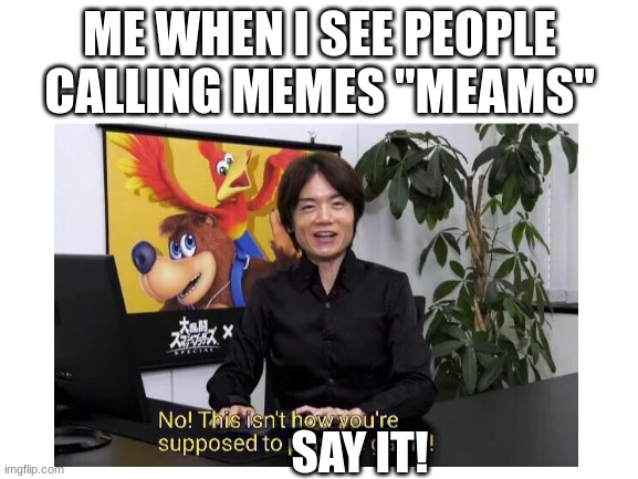 Meme VS Meam | ME WHEN I SEE PEOPLE CALLING MEMES "MEAMS"; SAY IT! | image tagged in blank white template | made w/ Imgflip meme maker