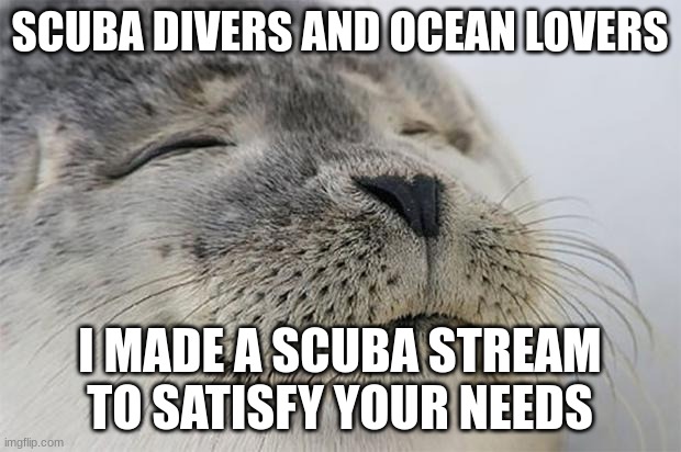 Dive sites, animals, and more are on the stream! So hit that follow button and lets get posting! | SCUBA DIVERS AND OCEAN LOVERS; I MADE A SCUBA STREAM TO SATISFY YOUR NEEDS | image tagged in memes,satisfied seal,scuba diving,new stream | made w/ Imgflip meme maker