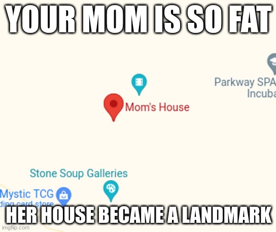 Damn, thats tough | YOUR MOM IS SO FAT; HER HOUSE BECAME A LANDMARK | image tagged in your mom | made w/ Imgflip meme maker