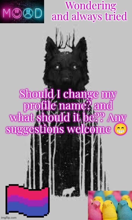 Please answer I would like to know | Wondering and always tried; Should I change my profile name? and what should it be?? Any suggestions welcome 😁 | image tagged in puppymavrelgirlwolf announcement template | made w/ Imgflip meme maker