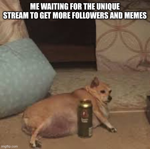 I want this stream to blow up, I’ll do it myself | ME WAITING FOR THE UNIQUE STREAM TO GET MORE FOLLOWERS AND MEMES | image tagged in lazy dog,fine i'll do it myself,lets go,unique | made w/ Imgflip meme maker