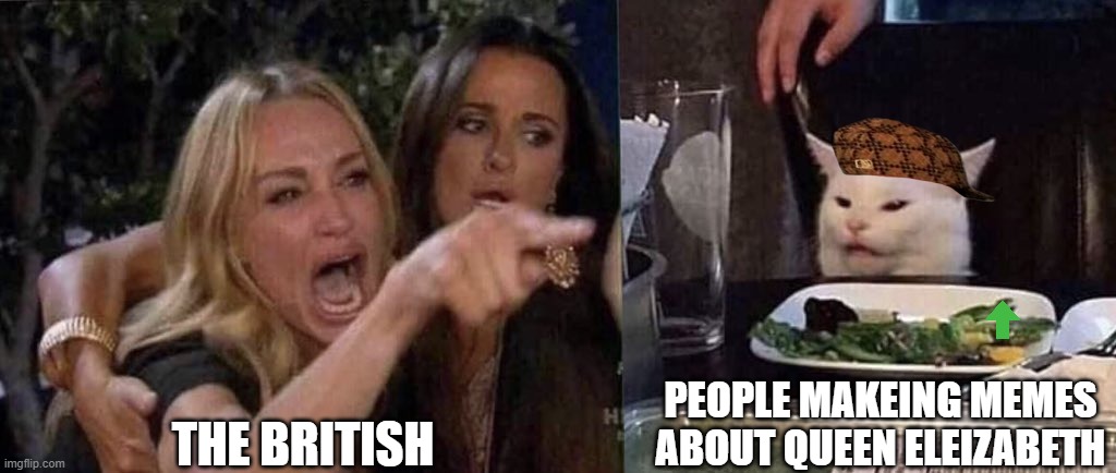 y? | THE BRITISH; PEOPLE MAKEING MEMES ABOUT QUEEN ELEIZABETH | image tagged in woman yelling at cat | made w/ Imgflip meme maker