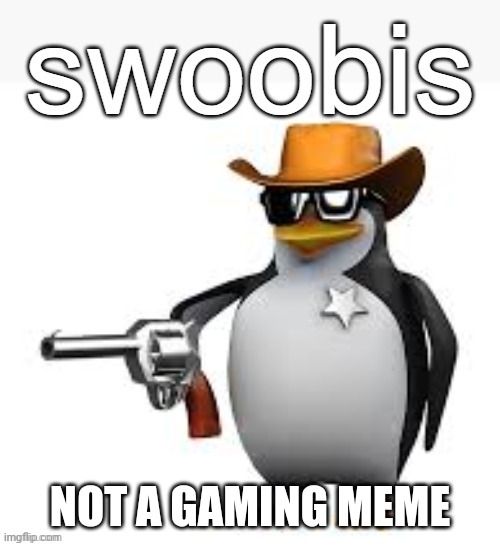 Swoobis | NOT A GAMING MEME | image tagged in swoobis | made w/ Imgflip meme maker