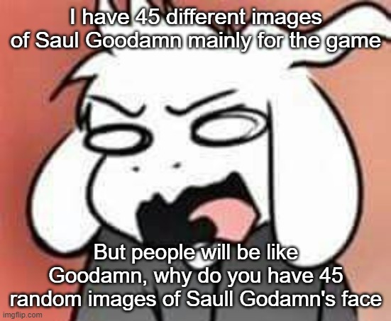 Saul Godamn | I have 45 different images of Saul Goodamn mainly for the game; But people will be like Goodamn, why do you have 45 random images of Saull Godamn's face | image tagged in asriel scream | made w/ Imgflip meme maker