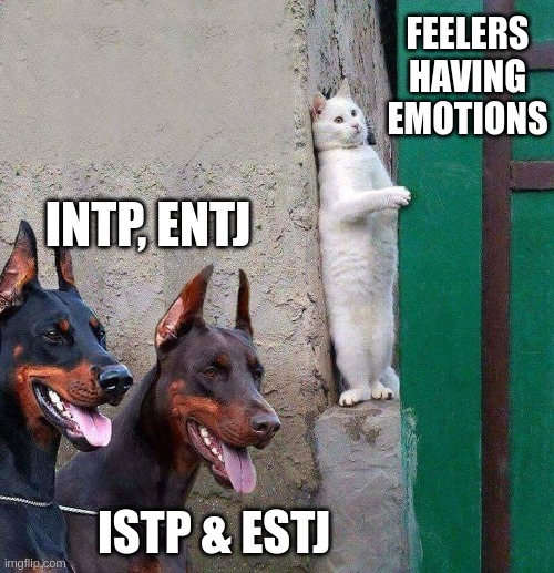 Feelers Hiding | FEELERS HAVING EMOTIONS; INTP, ENTJ; ISTP & ESTJ | image tagged in intp,entj,istp,estj,myers briggs,mbti | made w/ Imgflip meme maker