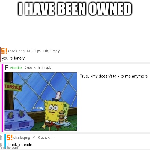 I HAVE BEEN OWNED | made w/ Imgflip meme maker