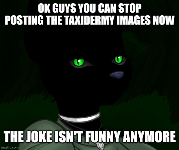 My new panther fursona | OK GUYS YOU CAN STOP POSTING THE TAXIDERMY IMAGES NOW; THE JOKE ISN'T FUNNY ANYMORE | image tagged in my new panther fursona | made w/ Imgflip meme maker