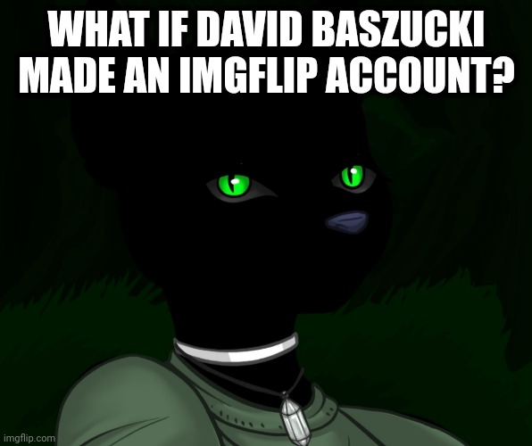 My new panther fursona | WHAT IF DAVID BASZUCKI MADE AN IMGFLIP ACCOUNT? | image tagged in my new panther fursona | made w/ Imgflip meme maker
