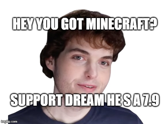 gaming | HEY YOU GOT MINECRAFT? SUPPORT DREAM HE S A 7.9 | image tagged in dream smp | made w/ Imgflip meme maker