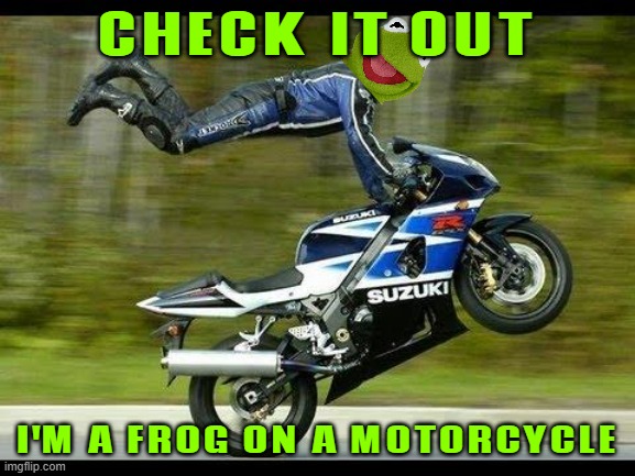 kermit the frog on a motorcylce | CHECK IT OUT; I'M A FROG ON A MOTORCYCLE | image tagged in motorcycle trick,disney,the muppets,frogs,comedy | made w/ Imgflip meme maker