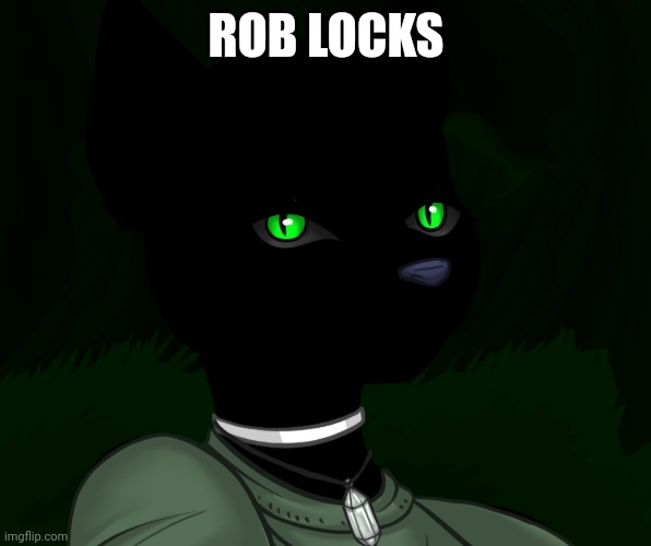 Unfunny | ROB LOCKS | image tagged in my new panther fursona | made w/ Imgflip meme maker