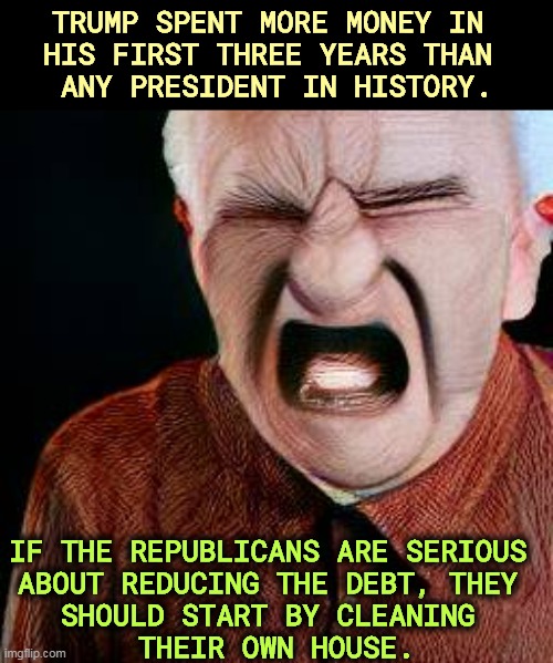 Endless Republican hypocrisy as far as the eye can see | TRUMP SPENT MORE MONEY IN 
HIS FIRST THREE YEARS THAN 
ANY PRESIDENT IN HISTORY. IF THE REPUBLICANS ARE SERIOUS 
ABOUT REDUCING THE DEBT, THEY 
SHOULD START BY CLEANING 
THEIR OWN HOUSE. | image tagged in republican,hypocrites,national debt,useless | made w/ Imgflip meme maker