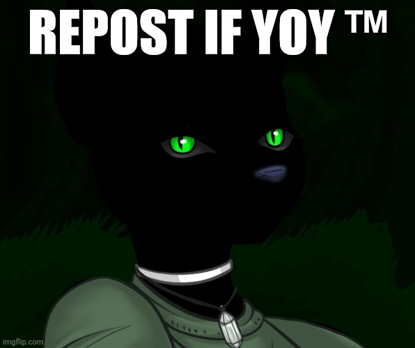 My new panther fursona | REPOST IF YOY ™ | image tagged in my new panther fursona | made w/ Imgflip meme maker