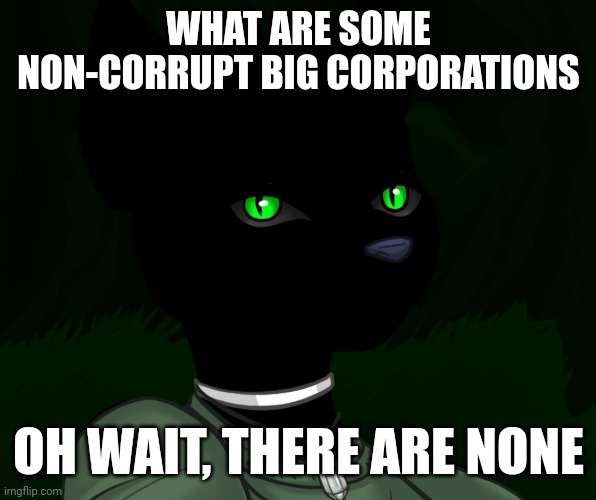 My new panther fursona | WHAT ARE SOME NON-CORRUPT BIG CORPORATIONS; OH WAIT, THERE ARE NONE | image tagged in my new panther fursona | made w/ Imgflip meme maker