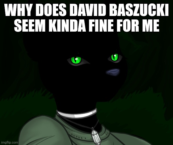 My new panther fursona | WHY DOES DAVID BASZUCKI SEEM KINDA FINE FOR ME | image tagged in my new panther fursona | made w/ Imgflip meme maker