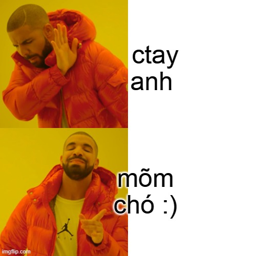 Drake Hotline Bling Meme | ctay anh; mõm chó :) | image tagged in memes,drake hotline bling | made w/ Imgflip meme maker