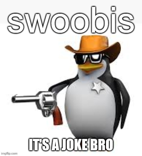 Swoobis | IT'S A JOKE BRO | image tagged in swoobis | made w/ Imgflip meme maker