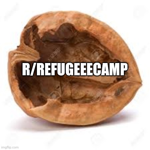 In a nut shell | R/REFUGEEECAMP | image tagged in in a nut shell | made w/ Imgflip meme maker