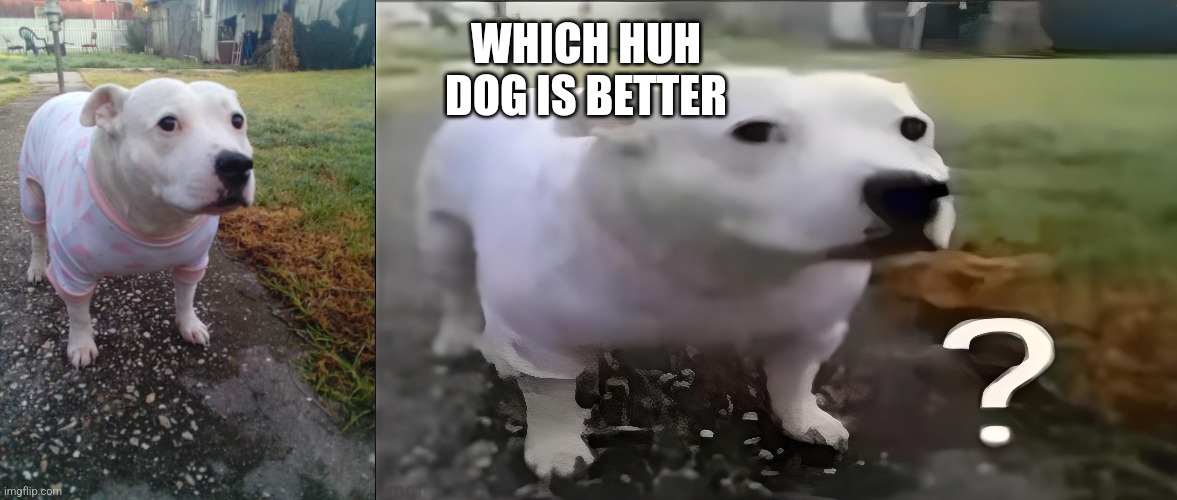 WHICH HUH DOG IS BETTER | image tagged in high quality huh dog,huh dog | made w/ Imgflip meme maker