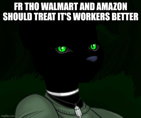 My new panther fursona | FR THO WALMART AND AMAZON SHOULD TREAT IT'S WORKERS BETTER | image tagged in my new panther fursona | made w/ Imgflip meme maker
