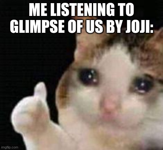 I love that song but it makes me cry frfr | ME LISTENING TO GLIMPSE OF US BY JOJI: | image tagged in approved crying cat | made w/ Imgflip meme maker