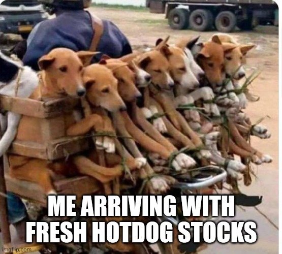 <h1>freshhotdogstock</h1> | ME ARRIVING WITH FRESH HOTDOG STOCKS | image tagged in dogs for hotdog | made w/ Imgflip meme maker