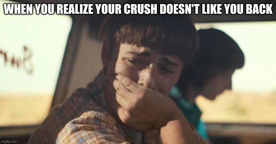 will byers crying | WHEN YOU REALIZE YOUR CRUSH DOESN'T LIKE YOU BACK | image tagged in will byers crying | made w/ Imgflip meme maker