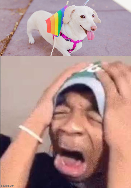 THEY TOOK OUR BEST SOLDIER | made w/ Imgflip meme maker