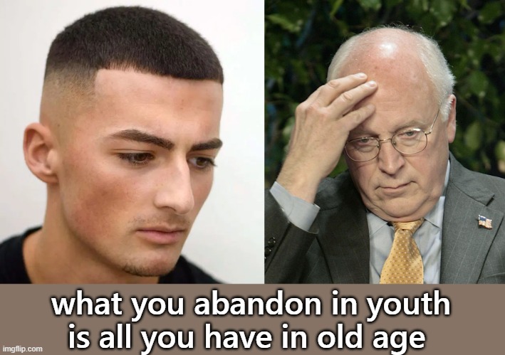 Life is Complimentary | what you abandon in youth is all you have in old age | image tagged in funny,funny memes,lol,lol so funny,fun | made w/ Imgflip meme maker