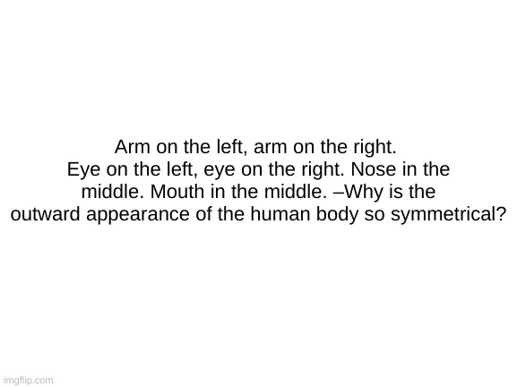 Blank White Template | Arm on the left, arm on the right.  Eye on the left, eye on the right. Nose in the middle. Mouth in the middle. –Why is the outward appearance of the human body so symmetrical? | image tagged in blank white template | made w/ Imgflip meme maker