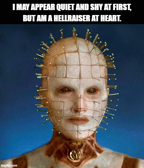 Helraiser 2022 | I MAY APPEAR QUIET AND SHY AT FIRST, BUT AM A HELLRAISER AT HEART. | image tagged in helraiser 2022 | made w/ Imgflip meme maker