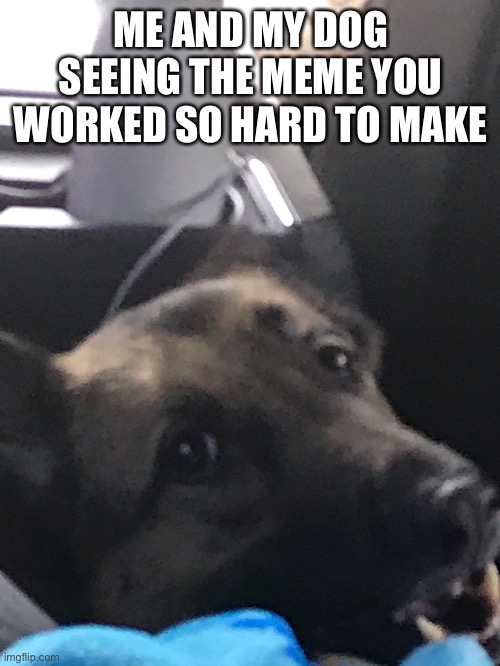 ME AND MY DOG SEEING THE MEME YOU WORKED SO HARD TO MAKE | made w/ Imgflip meme maker