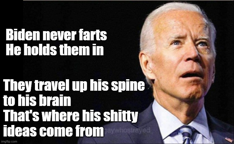 farts | Biden never farts
He holds them in; They travel up his spine
to his brain
That's where his shitty
ideas come from | image tagged in joe biden | made w/ Imgflip meme maker