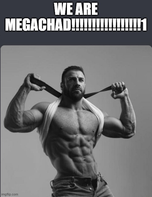Refuses to elaborate any further | WE ARE MEGACHAD!!!!!!!!!!!!!!!!!1 | image tagged in refuses to elaborate any further | made w/ Imgflip meme maker