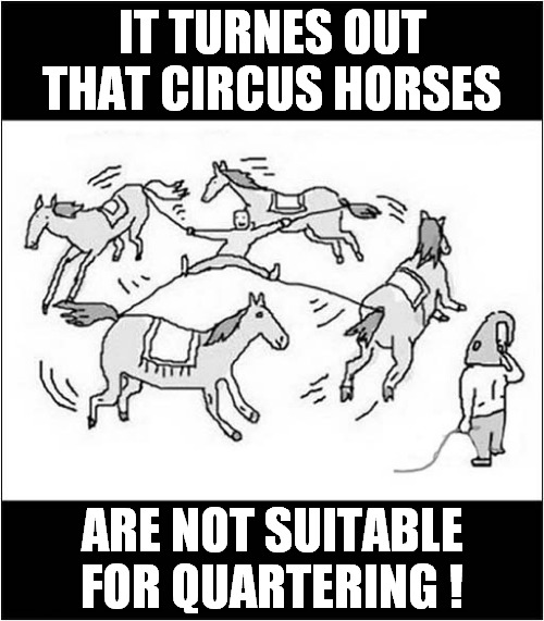 Less Execution  More Fun ! | IT TURNES OUT THAT CIRCUS HORSES; ARE NOT SUITABLE FOR QUARTERING ! | image tagged in horses,execution,dark humour | made w/ Imgflip meme maker