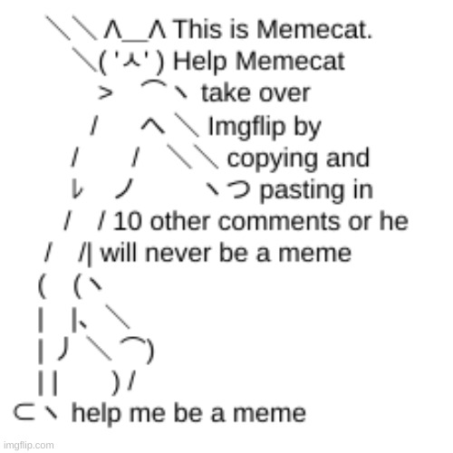 meet memecat | image tagged in memecat,cat | made w/ Imgflip meme maker