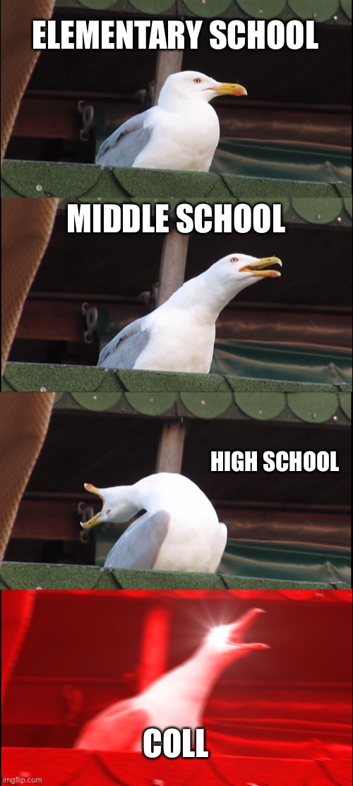 Used in comment | ELEMENTARY SCHOOL; MIDDLE SCHOOL; HIGH SCHOOL; COLLEGE | image tagged in memes,inhaling seagull | made w/ Imgflip meme maker