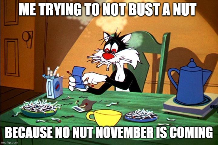 i know it's to early but it's just a joke | ME TRYING TO NOT BUST A NUT; BECAUSE NO NUT NOVEMBER IS COMING | image tagged in sylvester the cat,looney tunes,warner bros,no nut november | made w/ Imgflip meme maker